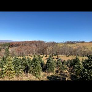 Meet your Posher, Matt